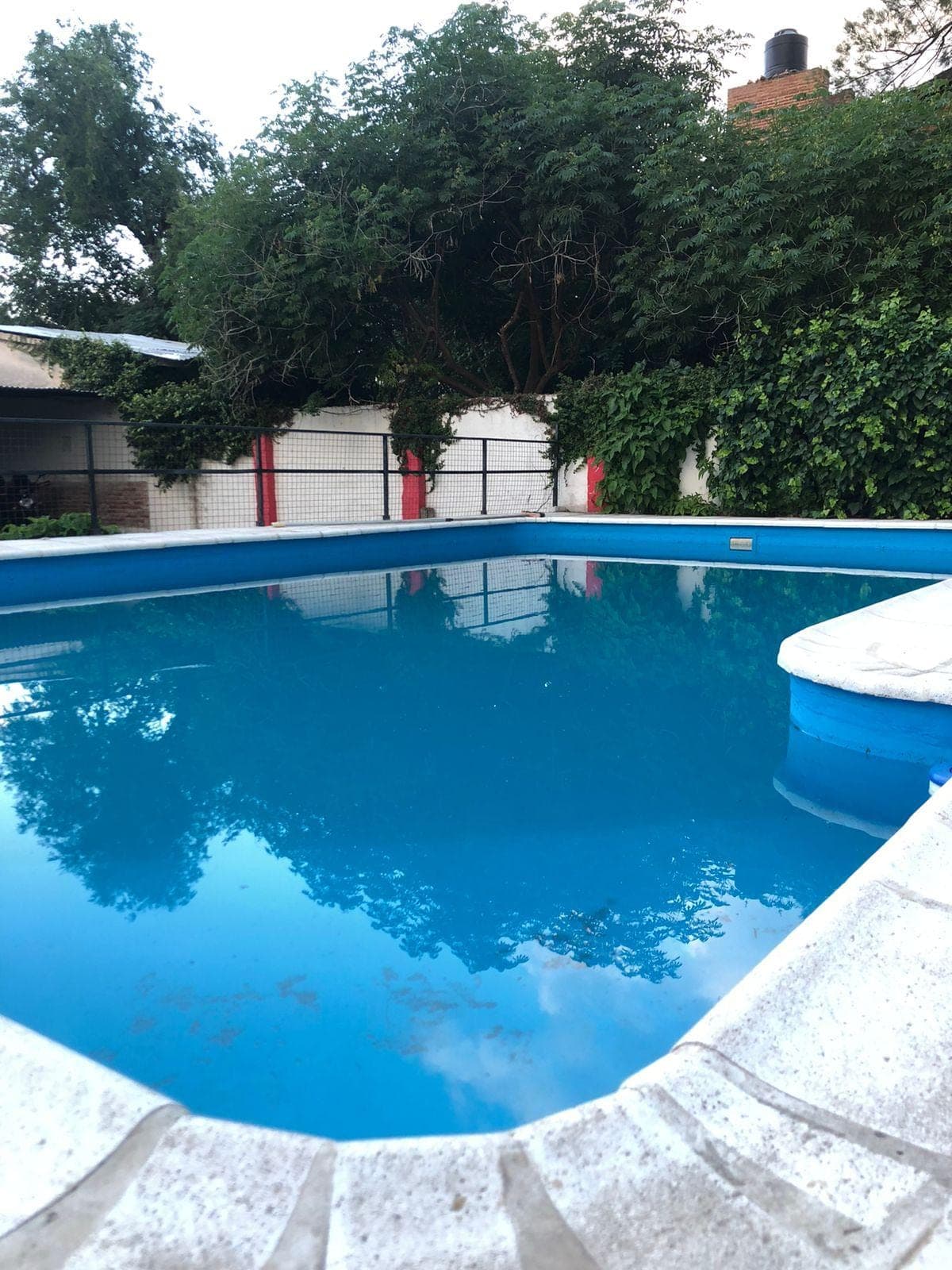 La pileta de natacion rodeada de arboles y enredaderas