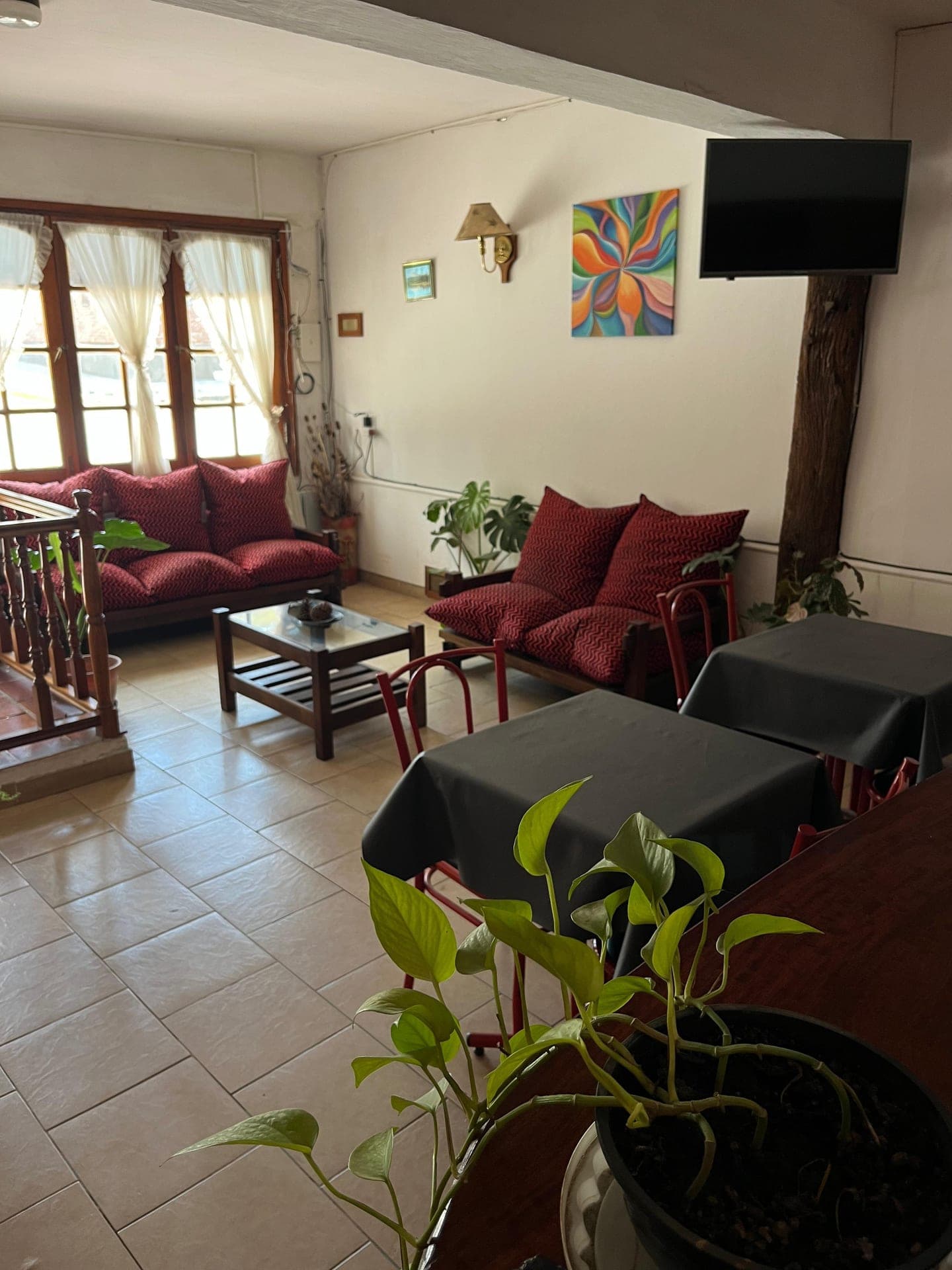 El living comun con sillones de tela bordo, plantas y television